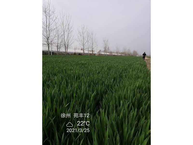 微信图片_20210401134300